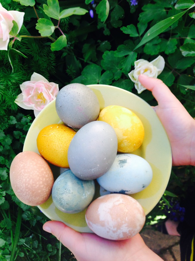 Eggsperimenting with colour for Easter!